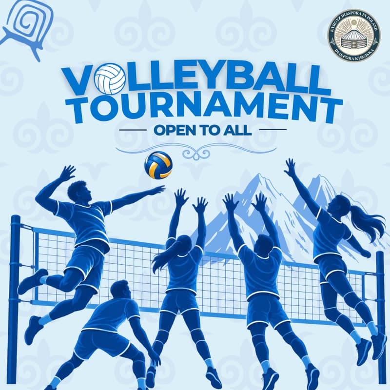 Cover Image for PlayUnited Games: Volleyball Edition