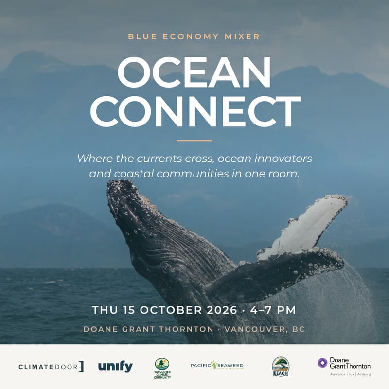 Cover Image for Ocean Connect Mixer