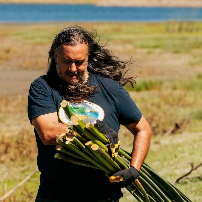 Cover Image for A4FC 2026 Tule Harvest & Community Gathering # 2