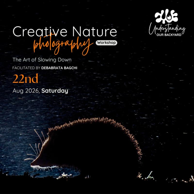 Cover Image for Creative Nature Photography | The Art of Slowing Down with Debabrata Bagchi
