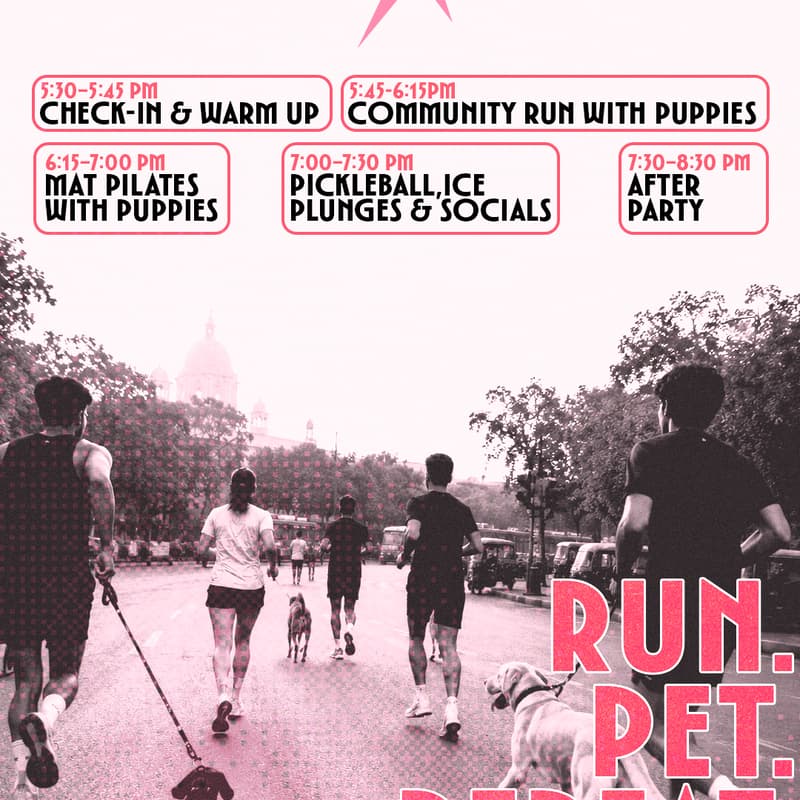 Cover Image for RUN. PET. REPEAT.