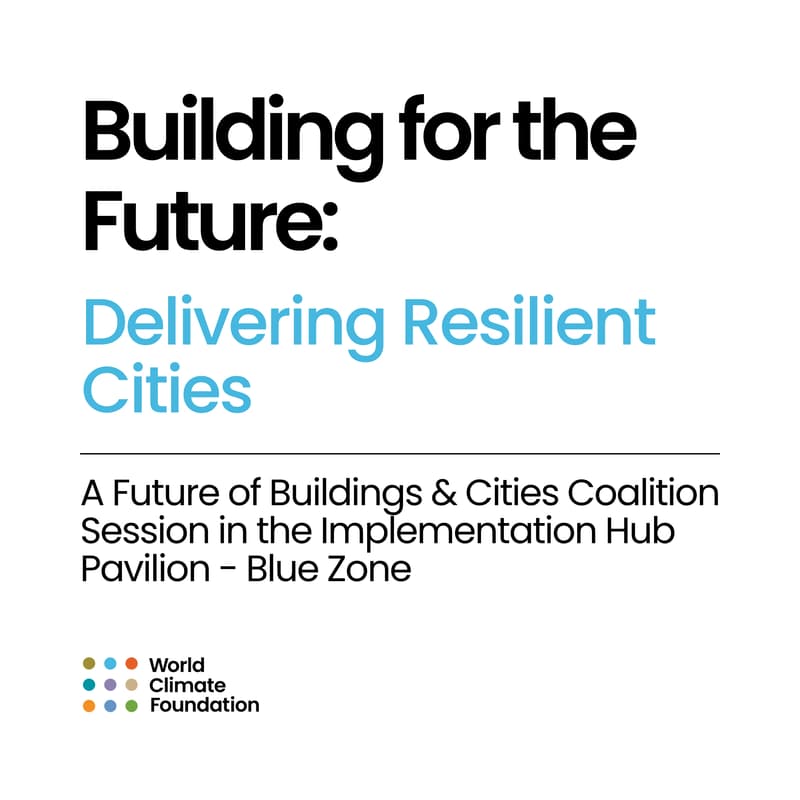 Cover Image for Building for the Future: Delivering Resilient Cities