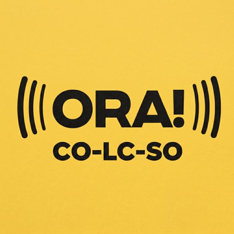 Cover Image for ORA! CO-LC-SO - Call Territoriale