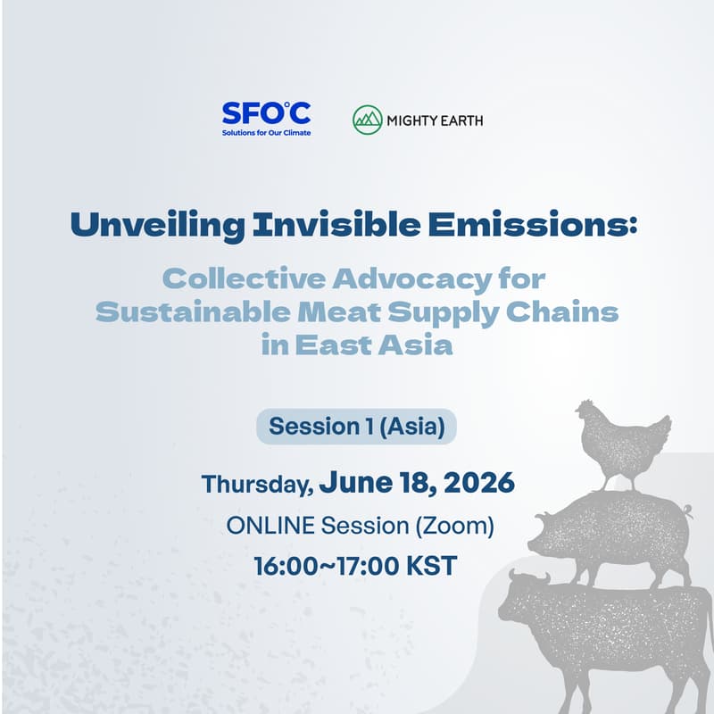 Cover Image for Unveiling Invisible Emissions: Collective Advocacy for Sustainable Meat Supply Chains in East Asia