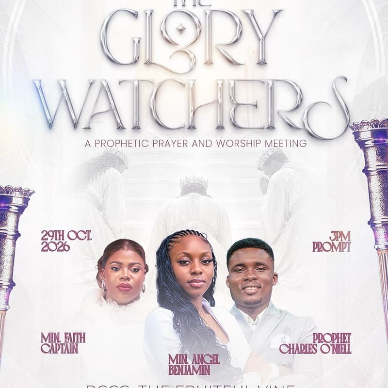 Cover Image for The Glory Watchers