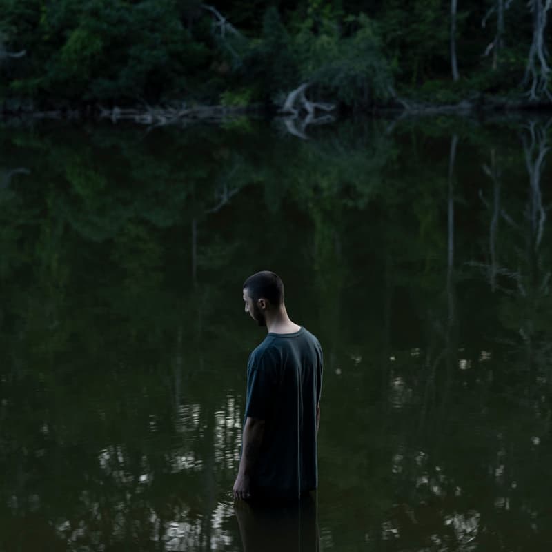 Cover Image for Art as Witness: A living exposition of Lyme & tick-borne disease