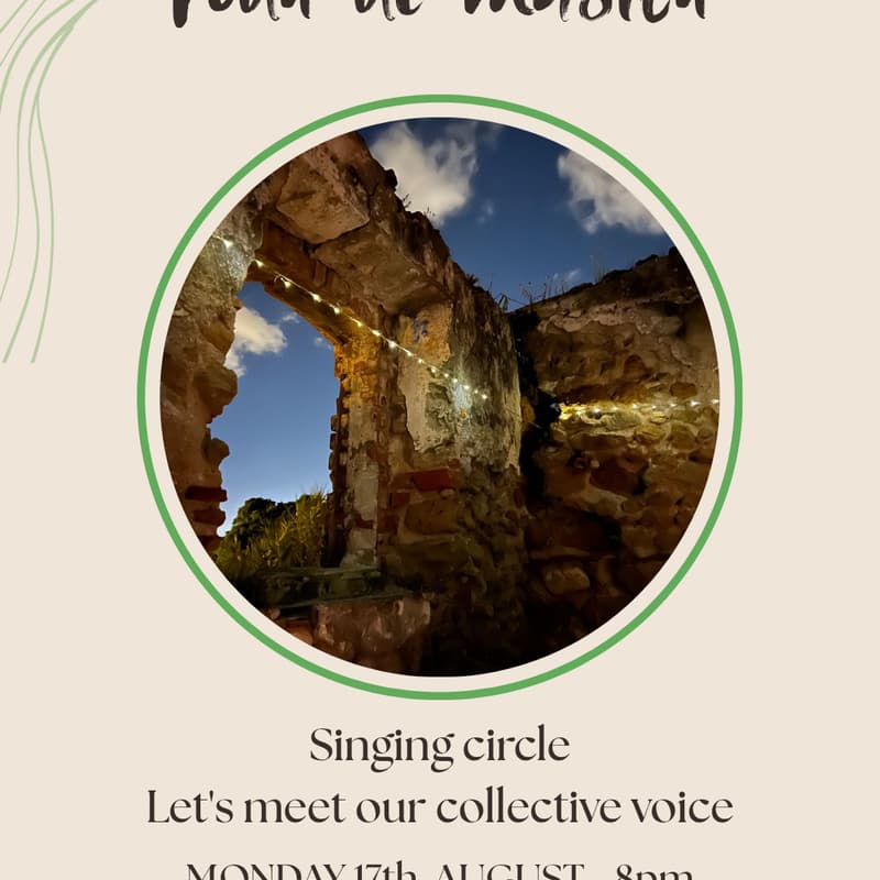Cover Image for Roda De Musica