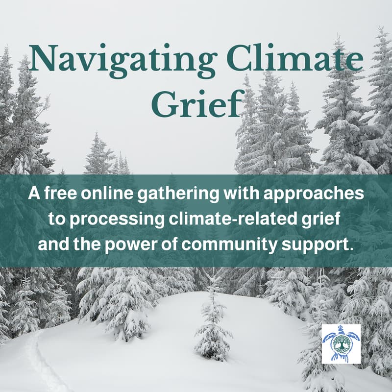 Cover Image for Navigating Climate Grief