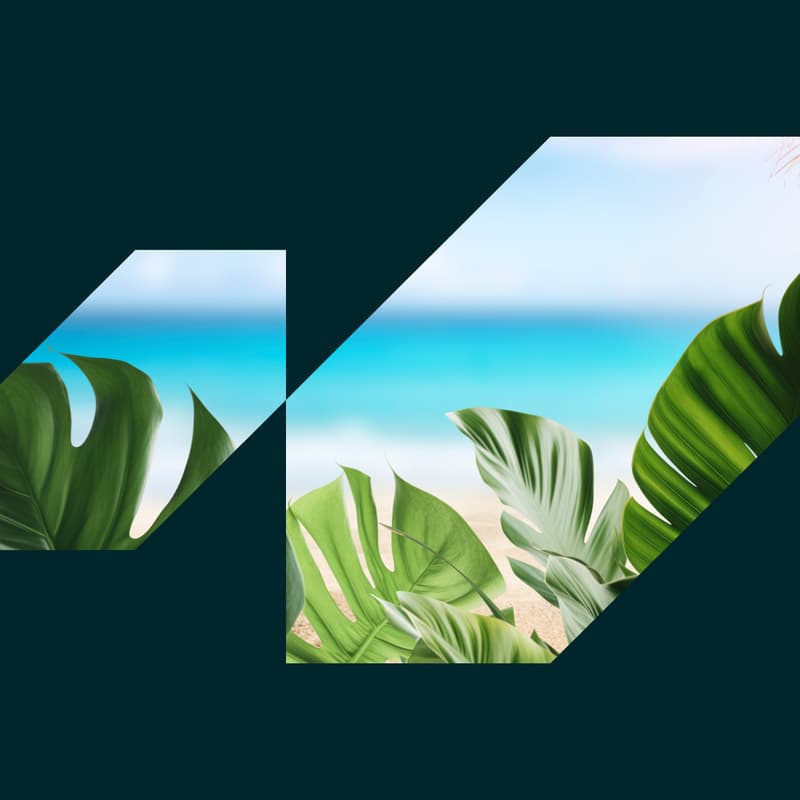 Cover Image for Lifecycle Oasis