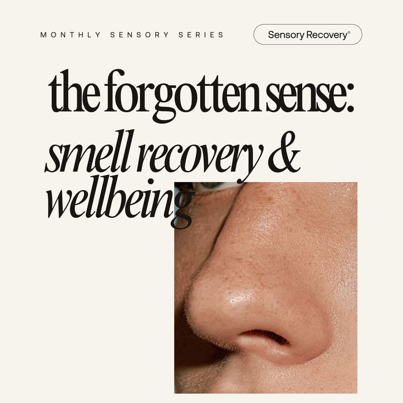 Cover Image for The Forgotten Sense: Recovery, Wellbeing & Taking Back Control
