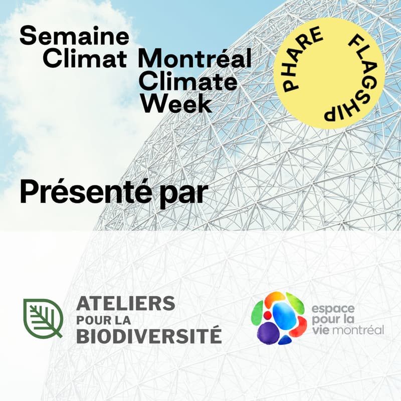 Cover Image for La parole aux jeunes : quelles priorités pour l'environnement?