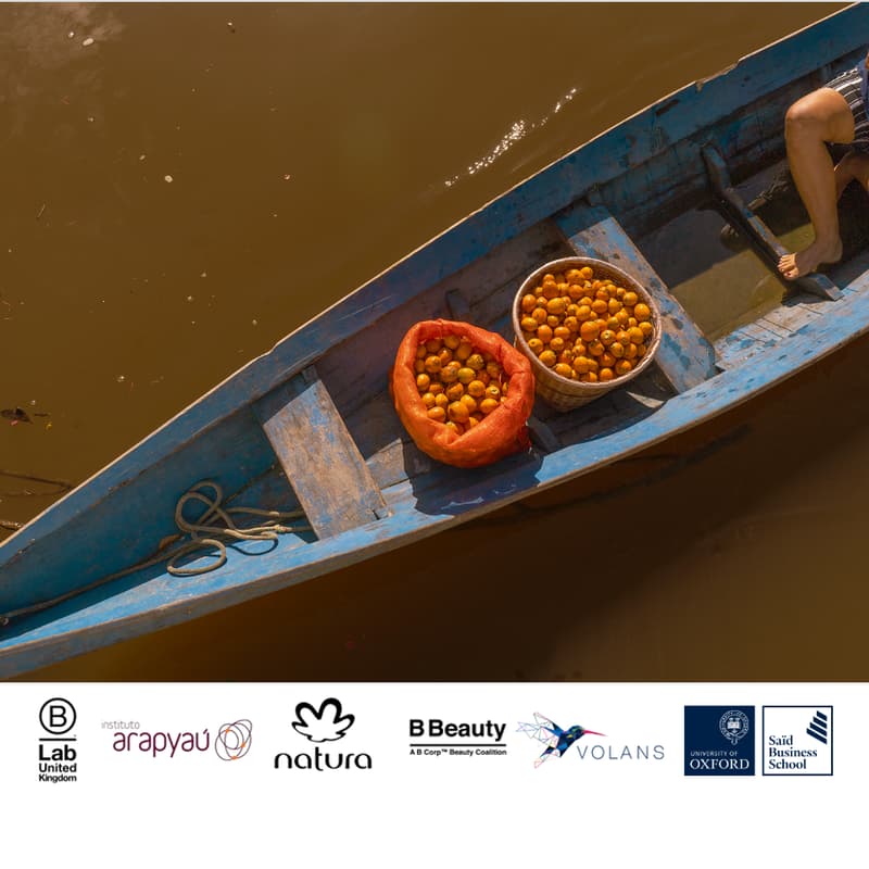 Cover Image for Unlocking the Socio Bioeconomy – by Natura, Arapyaú Institute, B Lab UK, B Corp Beauty Coalition, Saïd Business School & Volans