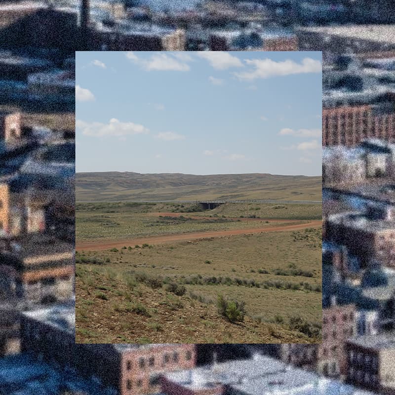 Cover Image for Nature x Infrastructure Mixer, Building for Biodiversity