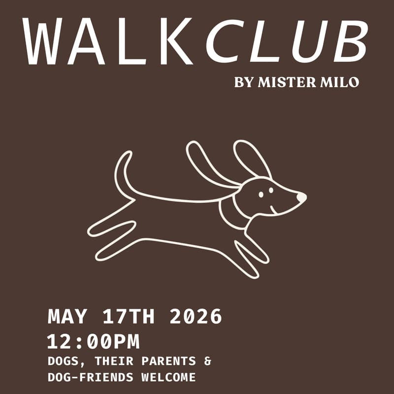 Cover Image for Dog Walk & Social