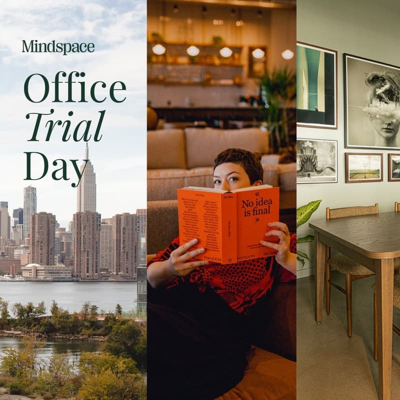 Cover Image for Office Trial Day at Mindspace