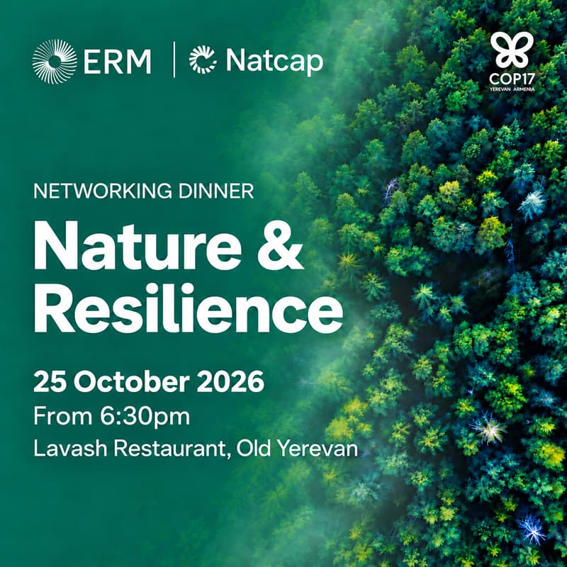 Cover Image for Natcap & ERM: COP17 Networking Dinner