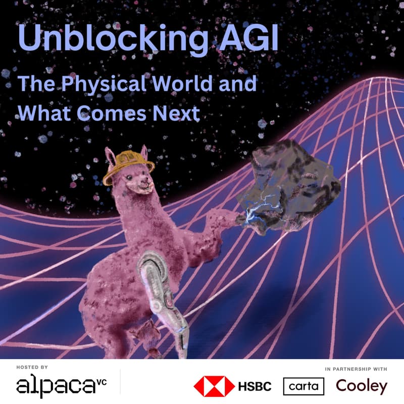 Cover Image for Unblocking AGI with Alpaca VC