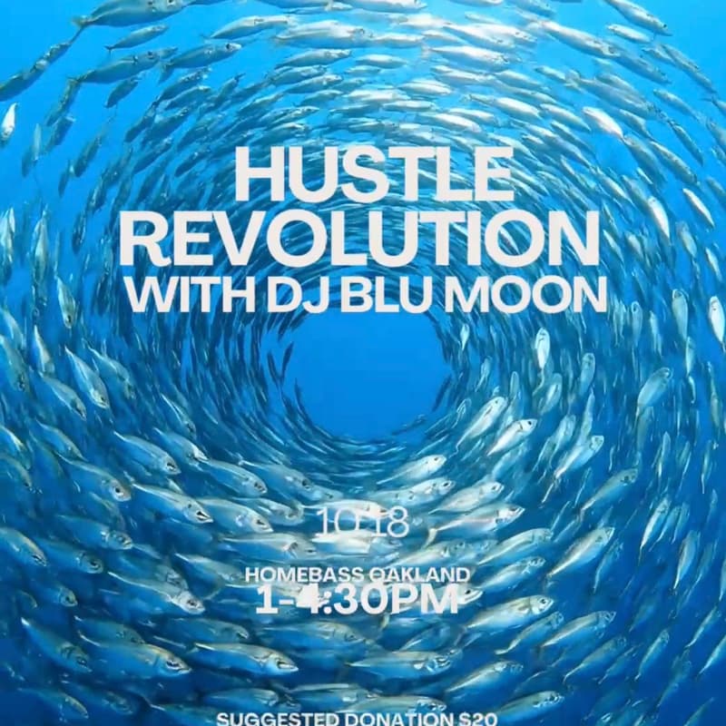 Cover Image for Hustle Revolution