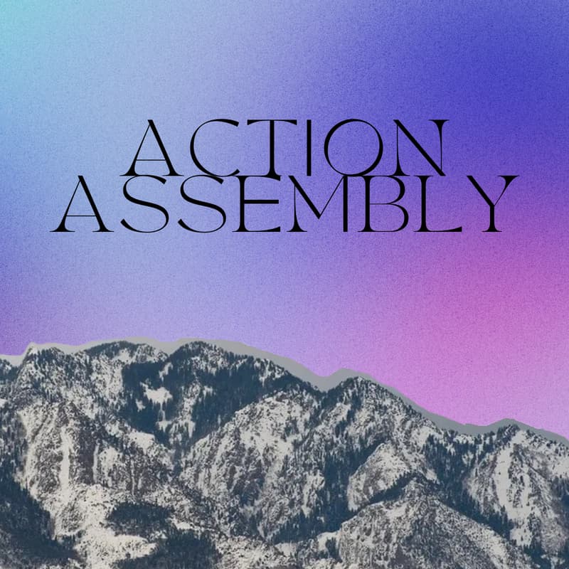 Cover Image for The Action Assembly