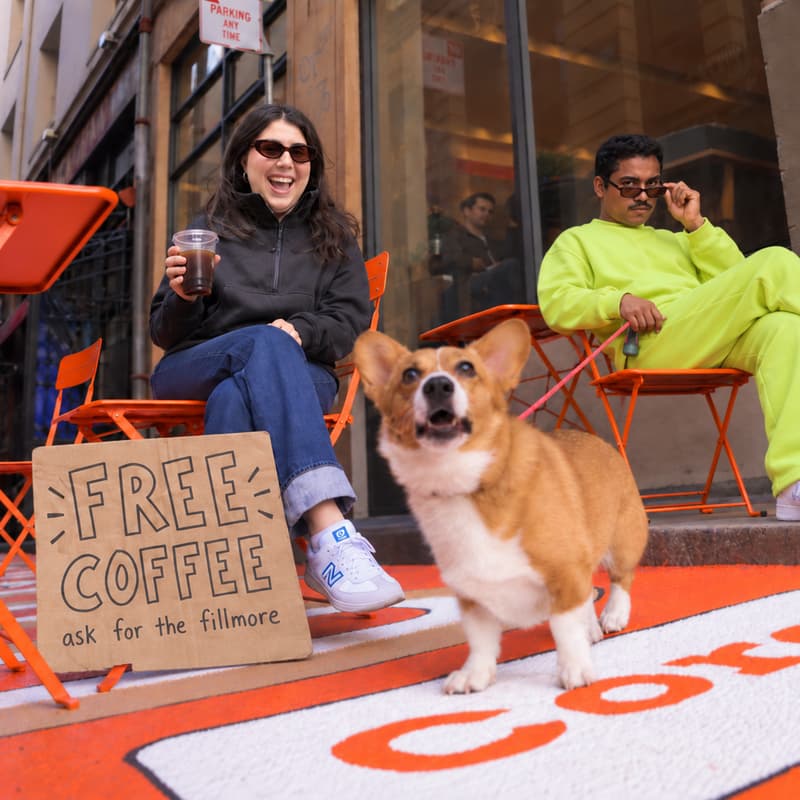 Cover Image for free coffee with Metaview at the Corgi Cafe.