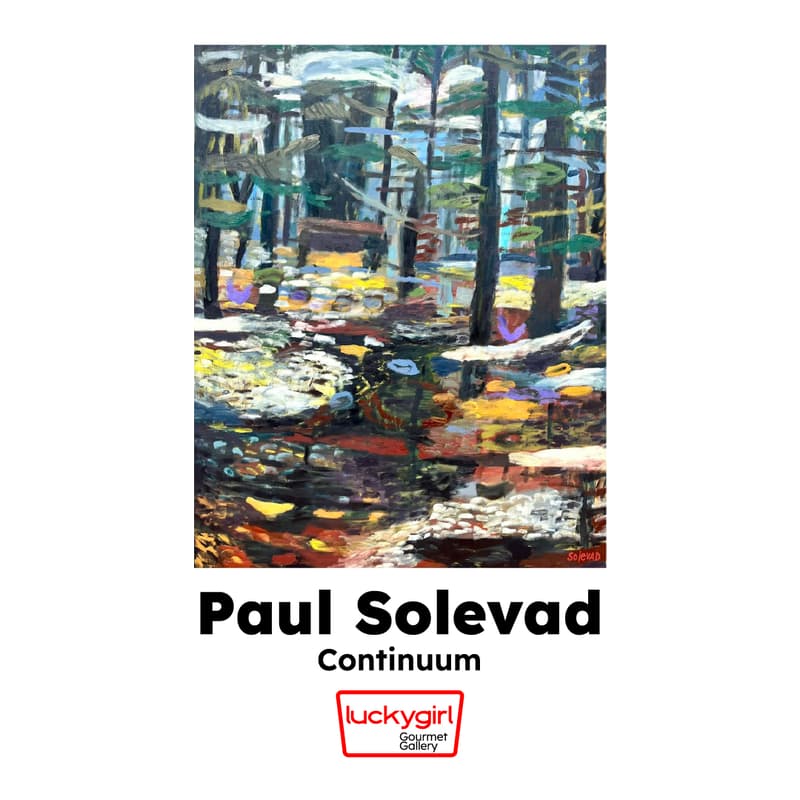 Cover Image for Paul Solevad - Continuum Opening Reception