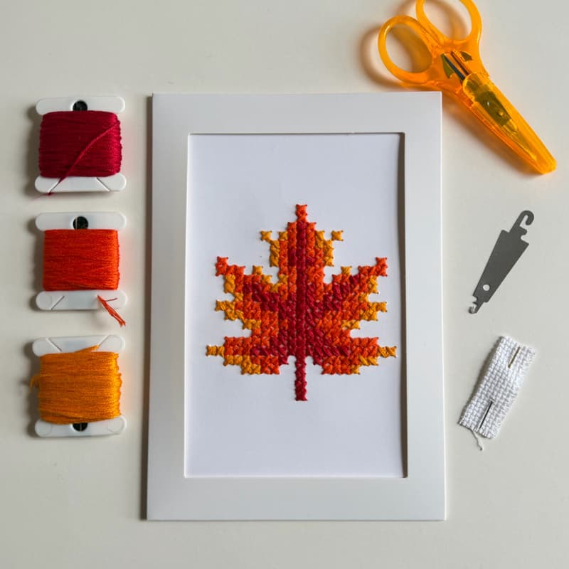 Cover Image for Fall Cross Stitch for Beginners with That's Sew New York