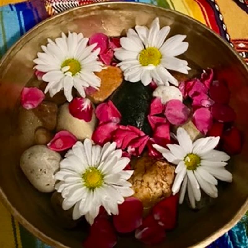 Cover Image for Pachamama Day Mini Retreat: Ceremony & Celebration