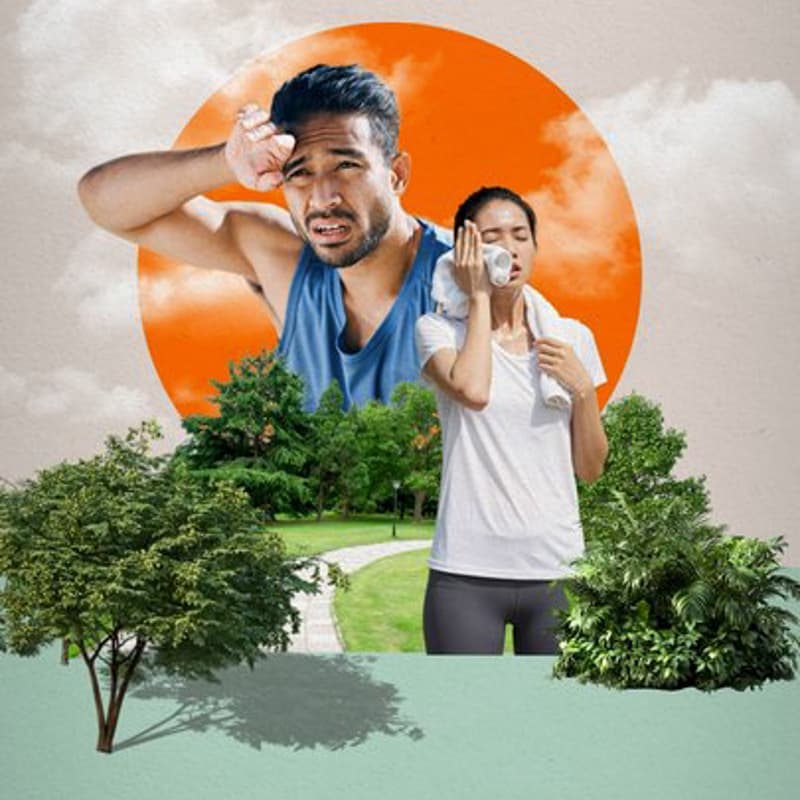 Cover Image for Seeds of Change: Climate Adaptation in Singapore