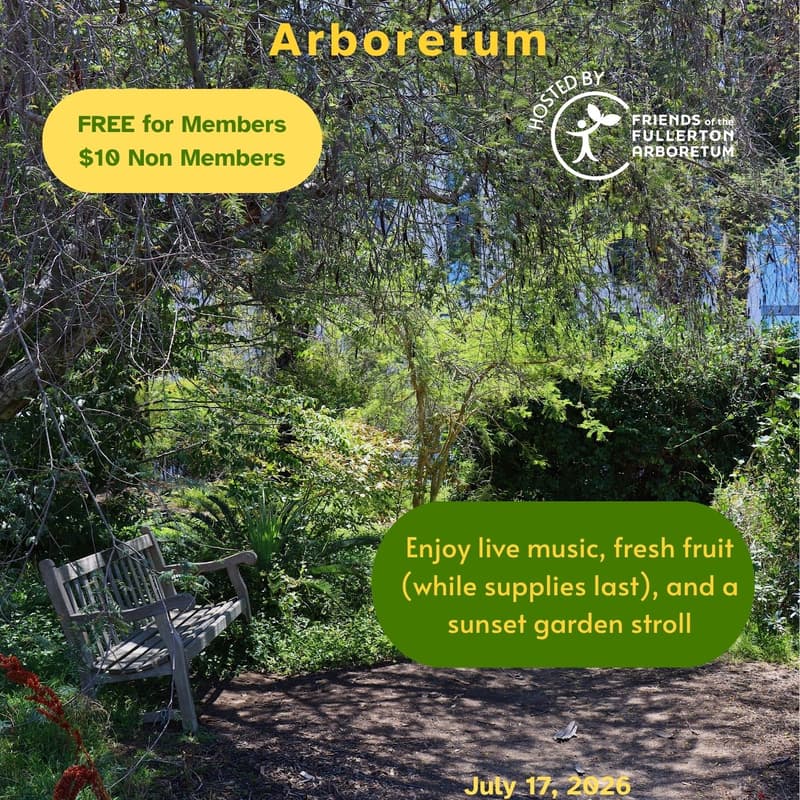 Cover Image for Evening Stroll: After Hours at the Arboretum