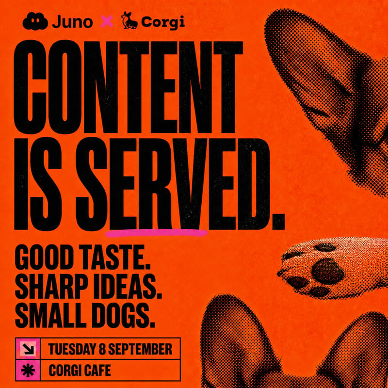Cover Image for Juno x Corgi: Creator Brunch