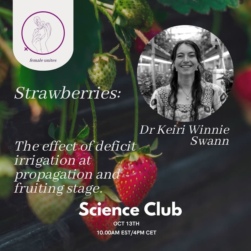 Cover Image for Science Club - The Effect of Deficit Irrigation at Propagation and Fruiting Stage for Strawberries.