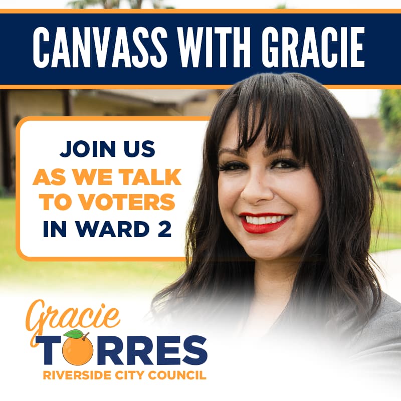 Cover Image for Canvass with Gracie