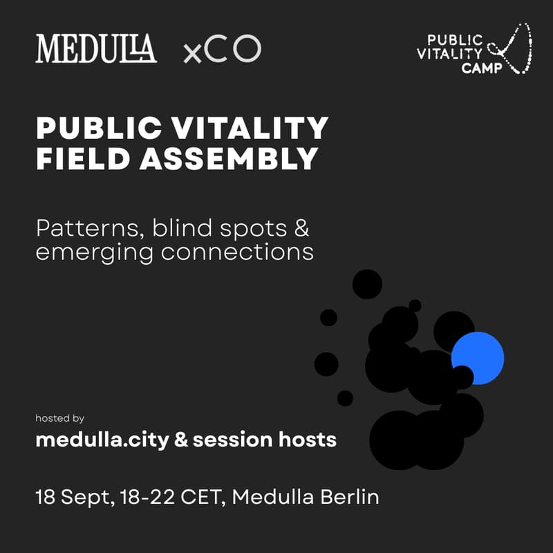 Cover Image for Public Vitality Field Assembly