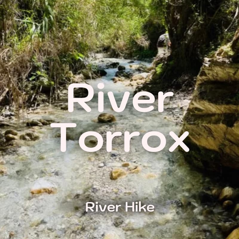 Cover Image for River Hike: 🏞 River Torrox, Axarquía