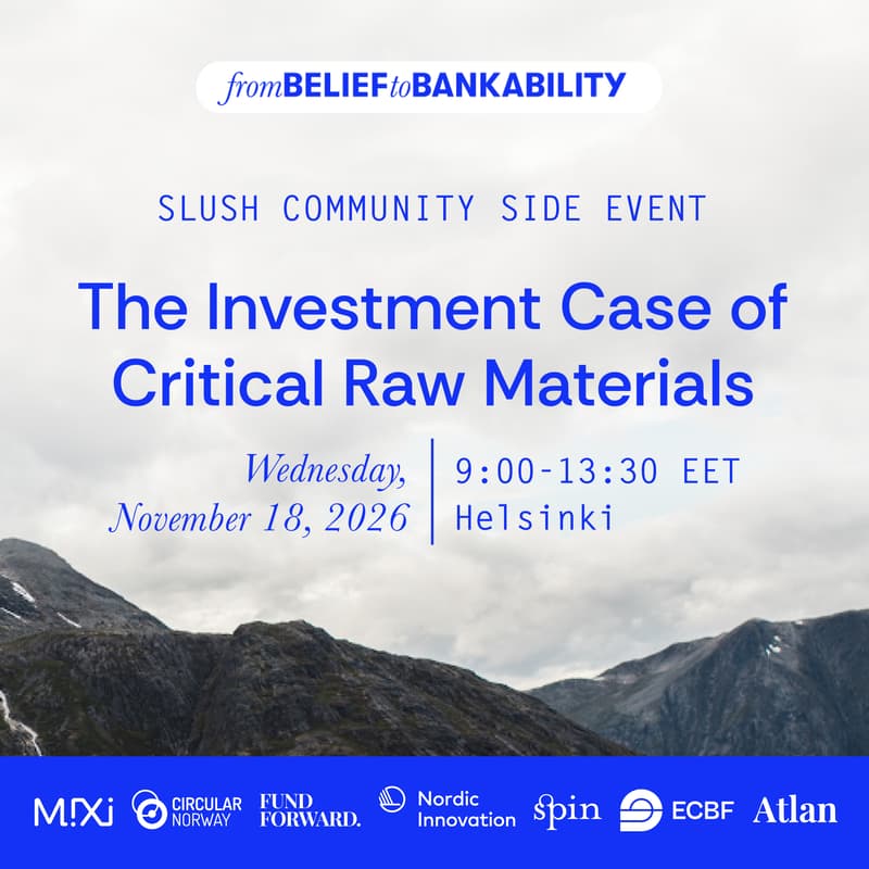 Cover Image for The Investment Case of Critical Raw Materials