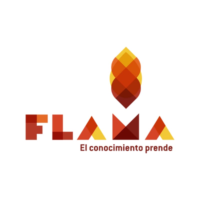 Cover Image for Inclusión escolar: de la teoría a la práctica