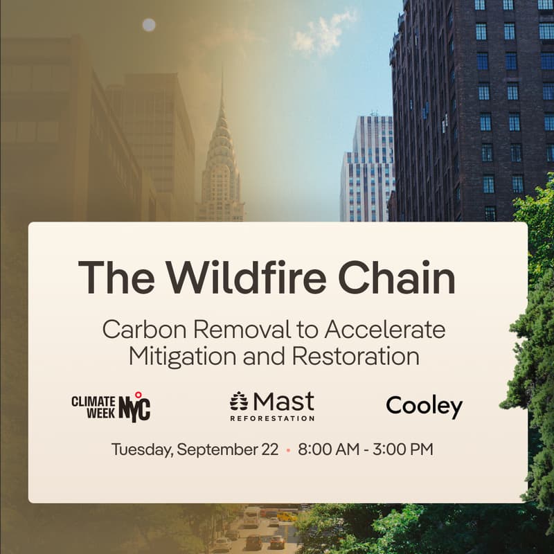 Cover Image for The Wildfire Chain: Carbon Removal to Accelerate Mitigation and Restoration