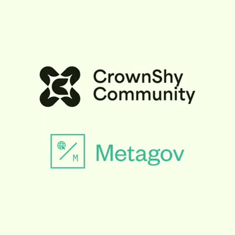 Cover Image for Community Call: Deliberative & Democratic Tech hosted by Metagov x CrownShy (#4)