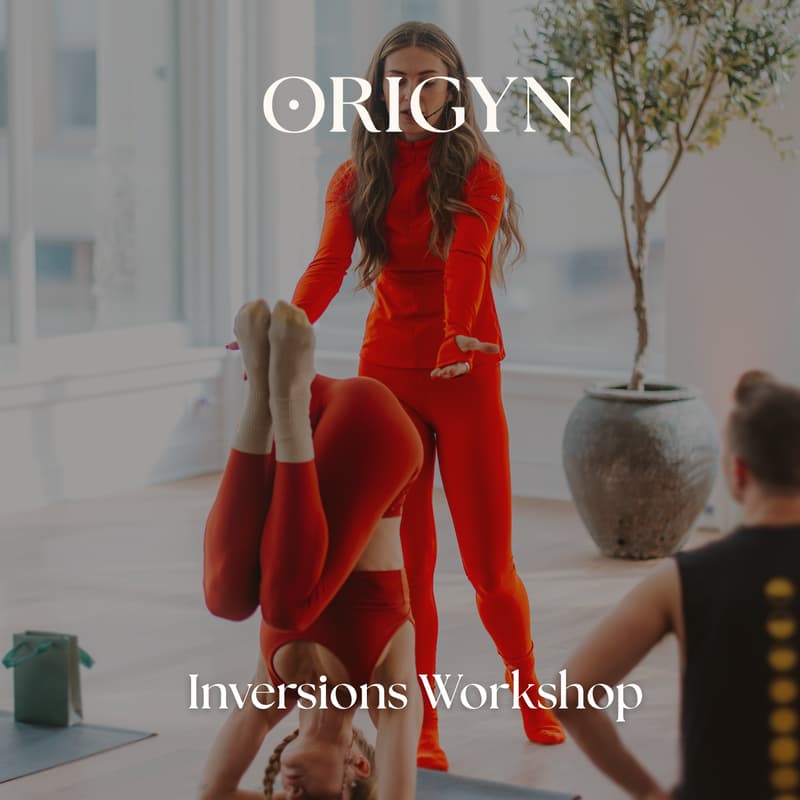 Cover Image for Inversions Workshop