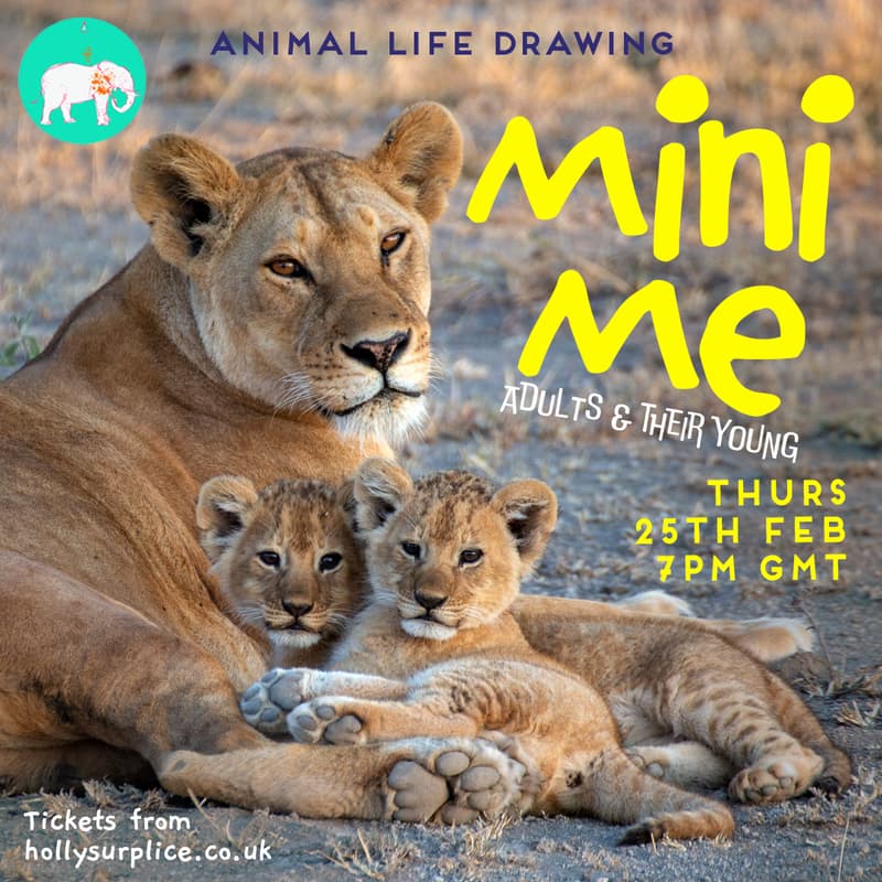 Cover Image for Mini Me - Adults and Their Young