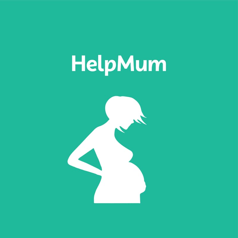 Cover Image for HelpMum Developer Meetup