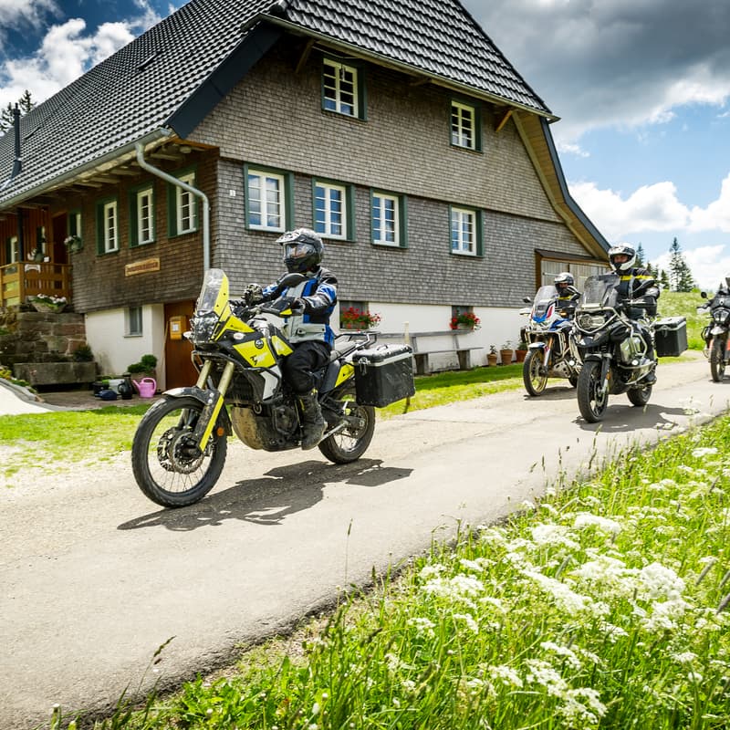 Cover Image for Fantastic-Black-Forest-Trail mit Michael Hoyer