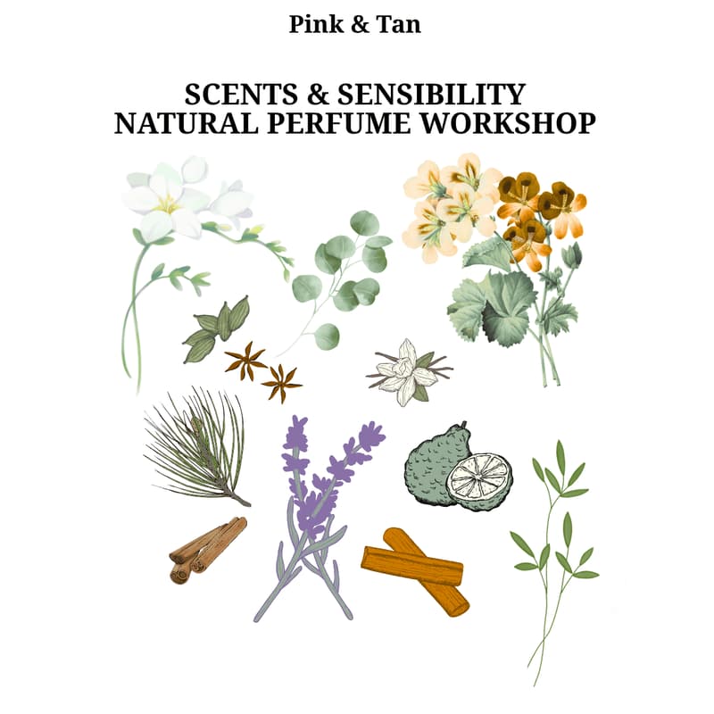 Cover Image for Pink & Tan - Scents & Sensibility Natural Perfume Workshop