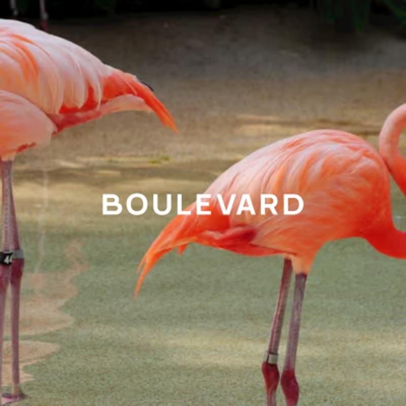Cover Image for Boulevard Presents: Lumina Miami