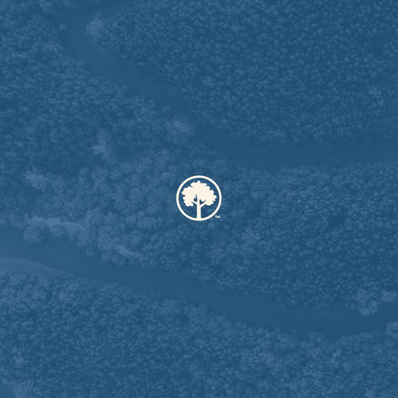 Cover Image for Arbor Day Foundation Climate Week NYC Happy Hour