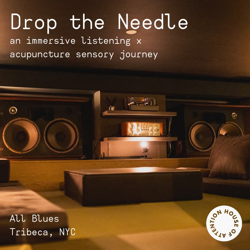 Cover Image for Drop the Needle — NYC [Oct 28, 2026]
