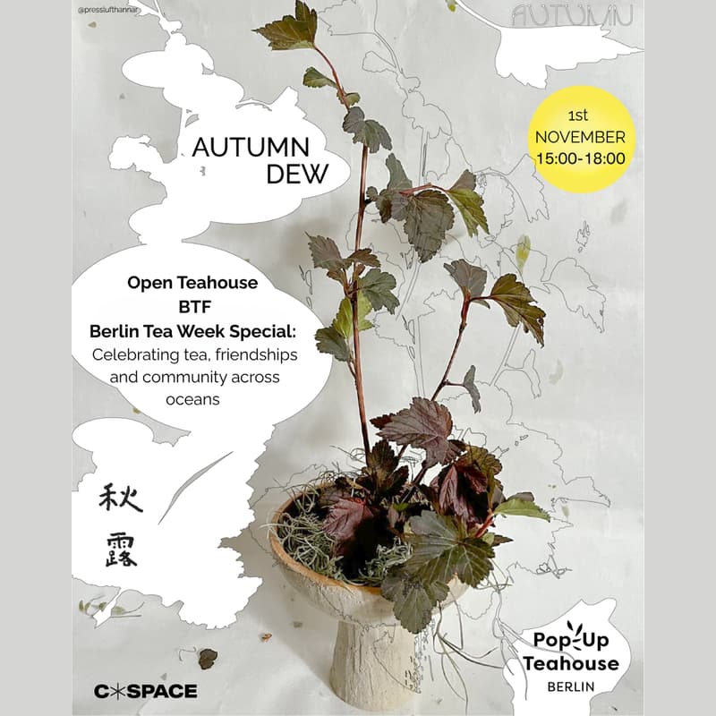 Cover Image for Berlin Tea Week special: Open Collective Teahouse