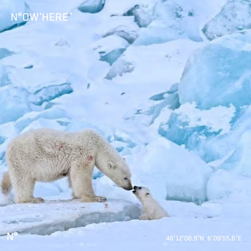 Cover Image for WHAT IS NATURE WORTH? An evening with Mattias Klum · Artist, photographer, filmmaker · National Geographic Explorer