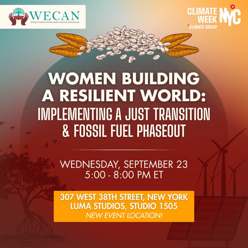 Cover Image for Women Building a Resilient World: Implementing a Just Transition and Fossil Fuel Phaseout