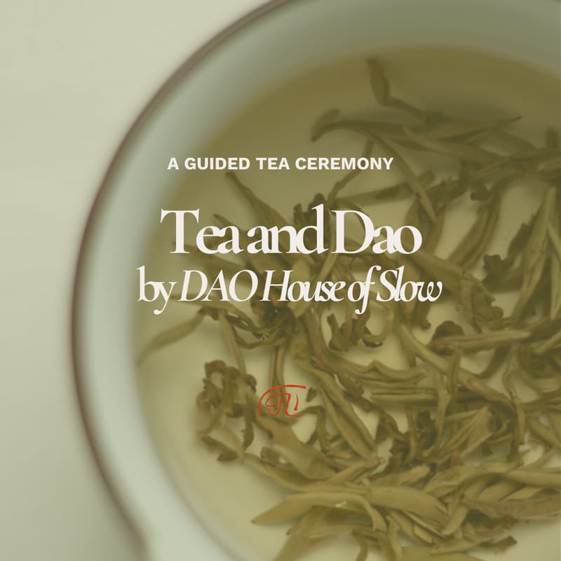 Cover Image for A Guided Tea Ceremony: Tea and the Dao by DAO House of Slow